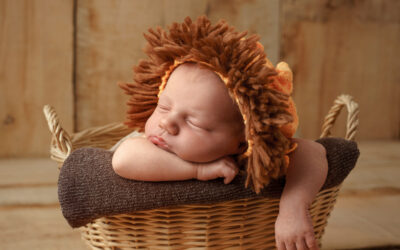 Newborn Photography